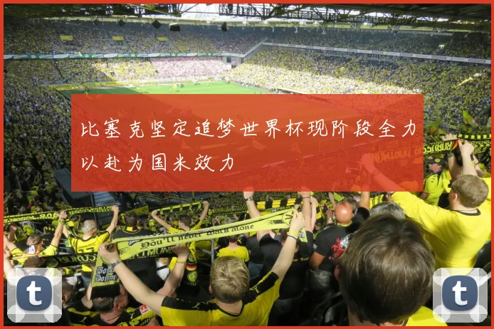 比塞克坚定追梦世界杯现阶段全力以赴为国米效力