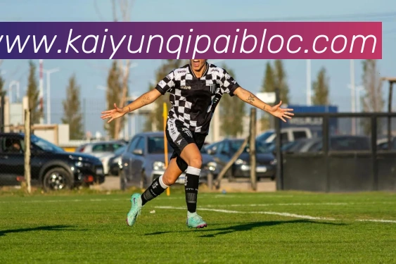 开云棋牌官网平台生态图